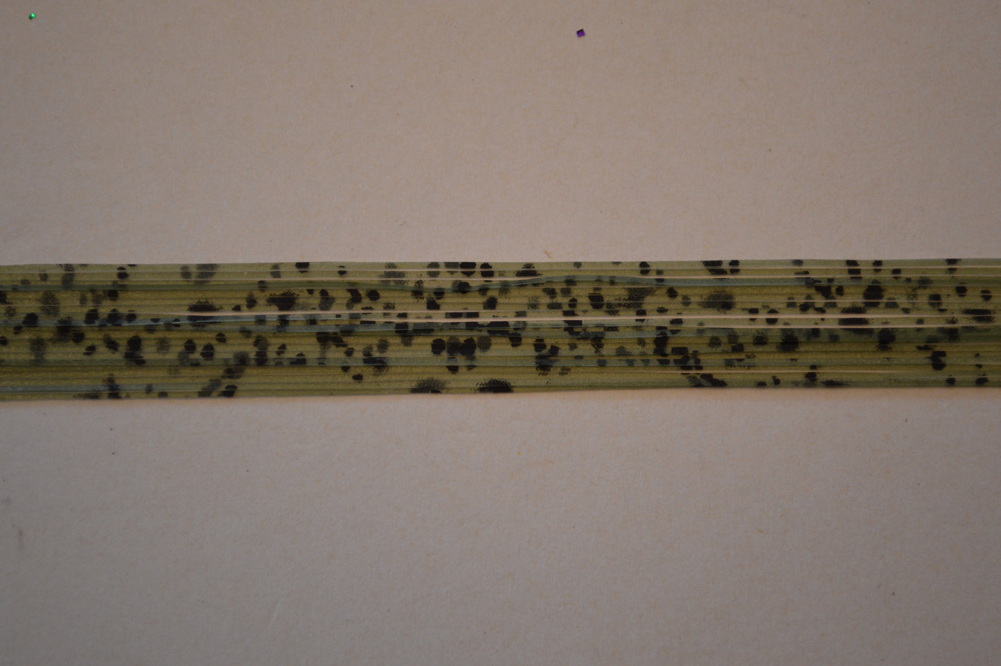 Fine Cut Nature's Edge Cucumber Seed-FNE5