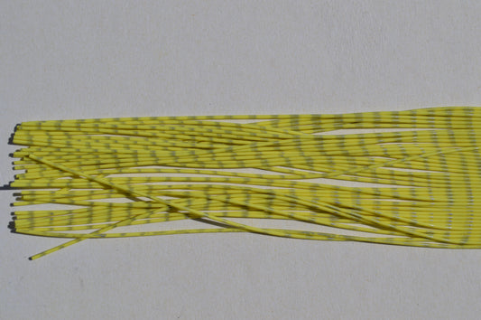 Medium Reptile Living Rubber Chartreuse with Silver Print-C-05