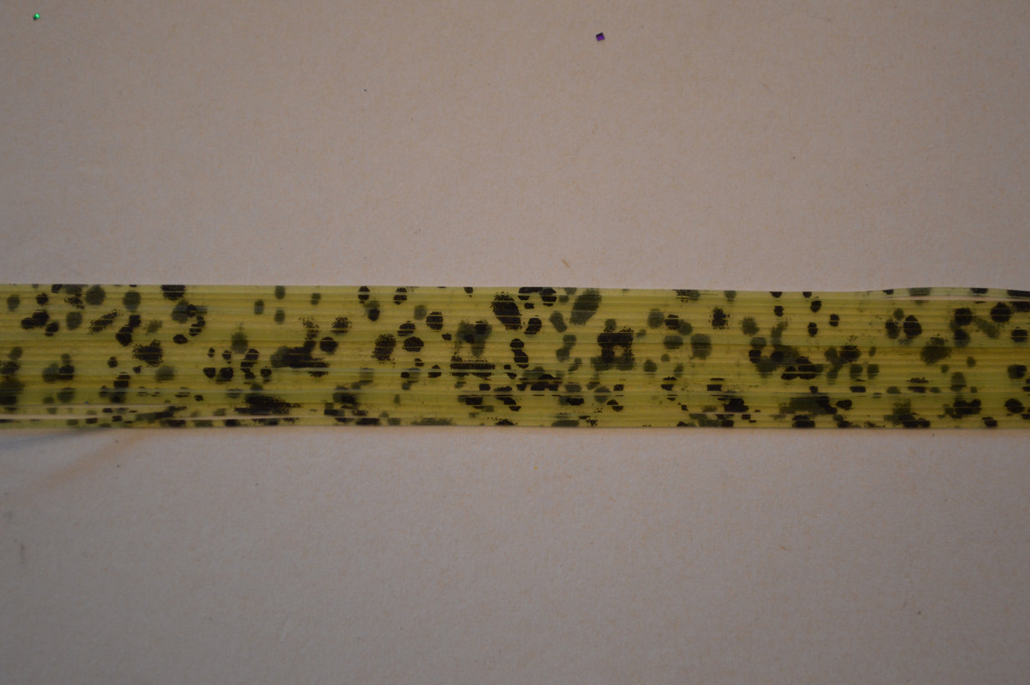 Fine Cut Nature's Edge Natural Chartreuse-FNE4