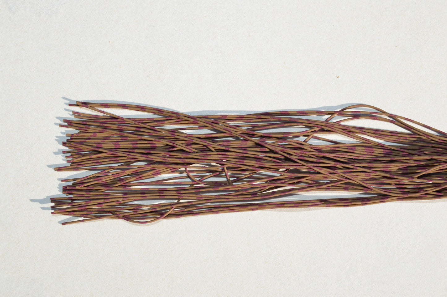 Fine Reptile Living Rubber Pumpkin with Purple Print-K-09 BassBerry Pie