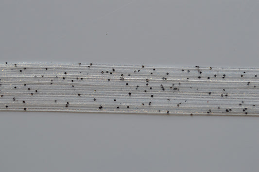 Fine Glitter Clear Orange Shad Scale flake silicon skirting-FG5