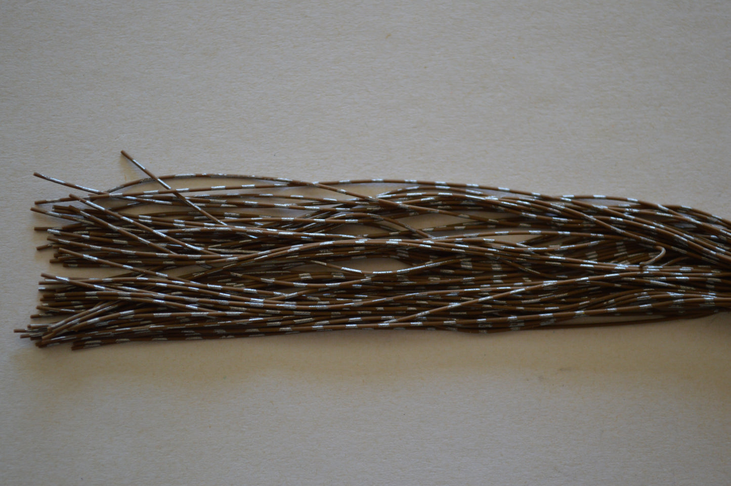 Fine Reptile Living Rubber Pumpkin with Silver Print-K-05 SilverBack Pumpkin