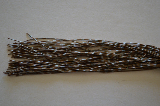 Fine Reptile Living Rubber Pumpkin with Silver Print-K-05 SilverBack Pumpkin