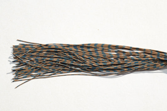 Fine Reptile Living Rubber Pumpkin with Blue Print K-01 Blue Ridge Craw