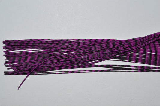 Fine Reptile Living Rubber Fuchsia with Black Print-N-03